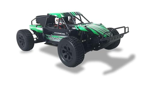 Amewi 22319 Dune Breaker Sand Buggy Brushed, 4WD 1:10, grün von Amewi