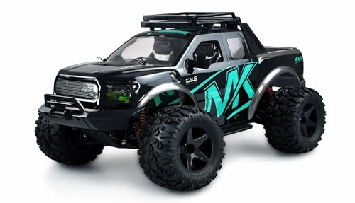 Amewi 22492 Warrior Monster Truck 1:10 RTR schwarz/blau von Amewi