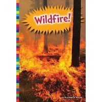 Wildfire! von Creative Company