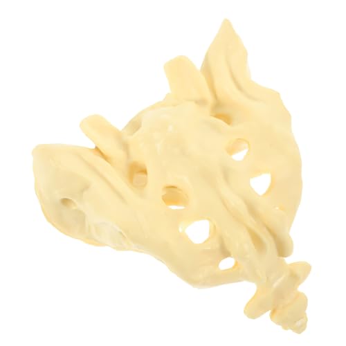 Amosfun Kompaktes Leichtes Sacrum Modell aus Robustem PVC Anatomisches Becken knochenmodell für Medizinische Ausbildung Patientenerklärung Langlebig Waschbar für Ärzte und Amosfun Kompaktes Leichtes Sacrum Modell aus Robustem PVC Anatomisches Becken knochenmodell für Medizinische Ausbildung Patientenerklärung Langlebig Waschbar für Ärzte und von Amosfun