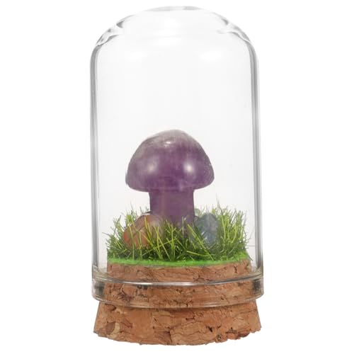 Amosfun Pilzdekor Pilze Puppenhaus Pilz Pilzgartendekoration Pilzzuchtset Pilz-kit Pilz-Modell Pilz Zeug Im Freien Mini-pilzfiguren Pilz Kissen Winziges Zuhause Winzige Figuren Kristall von Amosfun