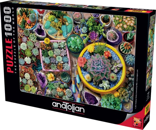 Anatolian Puzzle 1000 pièces : Pots de Cactus von Anatolian