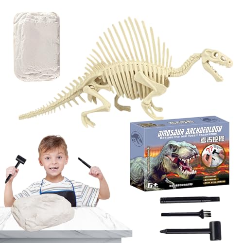 Ancsttu Dinosaurier Ausgrabungsset | Dinosaurier Skelett Ausgrabungsset Für Und Mädchen - STEM Paläontologie Wissenschaftsspiel Für Kinder 4-6 Jahre, Osterparty & Klassenaktivitäten Ancsttu Dinosaurier Ausgrabungsset | Dinosaurier Skelett Ausgrabungsset Für Und Mädchen - STEM Paläontologie Wissenschaftsspiel Für Kinder 4-6 Jahre, Osterparty & Klassenaktivitäten von Ancsttu