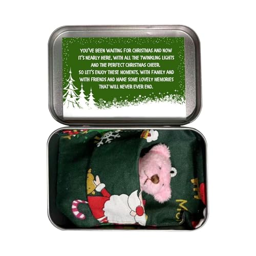 Ancsttu Kleine Taschenbär-Dose - Tiny Bear Plüschtier mit Karten und Quilts,Niedlicher und weicher Stoffbär, Bärenpuppen, Taschenbärenspielzeug als Weihnachtsgeburtstagsgeschenk von Ancsttu