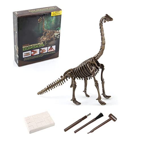 Andux Fossil Kit Dinosaurier Ausgrabung Wissenschaft STEM Aktivitäten für Kleinkinder Dig Up Dinosaurier Set KLHS-01 (Brachiosaurus) von Andux