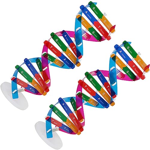 Angoily 2-Teiliges DNA-Doppelhelix-Modell DNA-Modellbausatz Doppelhelix-Struktur Wissenschaft Pädagogisches Lehrinstrument Spielzeug Für Kinder Studenten Lehrmittel von Angoily