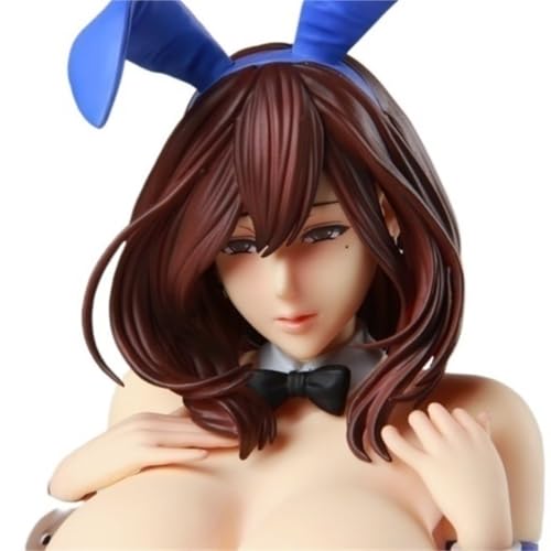 Ecchi Anime-Figuren Hentai-Figur Action Hiromi Bunny Girl Figur Cartoon Spielzeugfiguren Süße Mädchen Anime Girl Collection Figur Spielzeug Cartoon Collection 27cm/10.6in (Deluxe Edition)(Hiromi Muras von AnimaFg