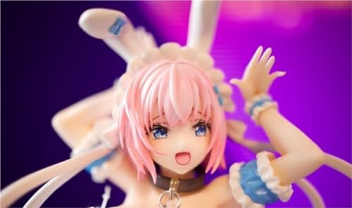 Ecchi-Figur, Hentai-Figur, Bunny-Girl-Actionfigur, Heimdekor, Sammelfigur, Anime-Figur, Mädchen, Sammelpuppe, abnehmbare Kleidung, 27 cm(Hardware) von AnimaFg