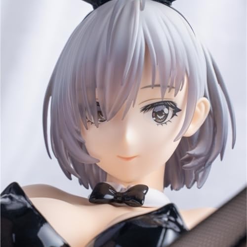 Ecchi-Figur, Hentai-Figur, Zuo Shao Kuixun, Bunny Girl, Actionfigur, Heimdekor, Sammelfigur, Anime-Figur, Mädchen, Sammelpuppe, abnehmbare Kleidung, 20 cm(Standard Edition) von AnimaFg