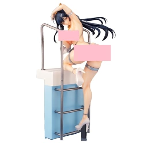 Nsfw Figur Ecchi Figuren Hentai Figuren Home Decor Sammelfiguren Anime Figuren Mädchen Sammelpuppen Abnehmbare Kleidung 27 cm/10,6 Zoll von AnimaFg