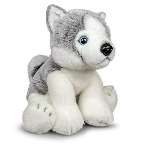 Animigos Plüschtier Husky, Stofftier im realistischen Design, kuschelig weich, ca. 23 cm groß von Animigos