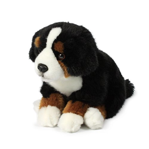 Anna Club Plüsch ACP16788 - Plüschfigur Berner Sennerhund 20 cm, Plüschtiere Anna Club Plüsch ACP16788 - Plüschfigur Berner Sennerhund 20 cm, Plüschtiere von Anna Club Plüsch