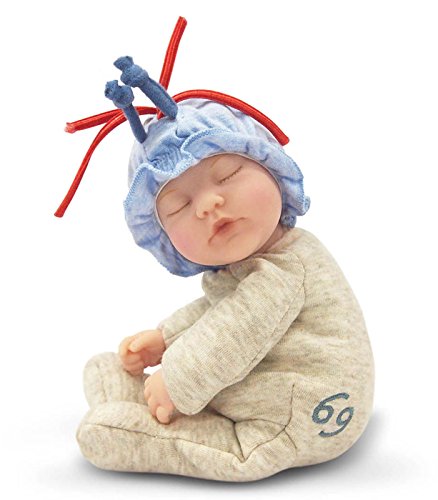 Anne Geddes Zodiac Collection Bean Filled Doll Cancer von Anne Geddes