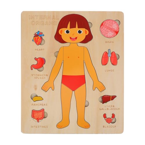 Anneome Puzzle-set Für Menschliche Körperteile Für Jungen Und Mädchen Anatomie-matching-spiel Aus Holz Kognitives Spielzeug Für Vorschulkinder Lernpuzzle-spielzeug 1 Set Englische Ausgabe von Anneome