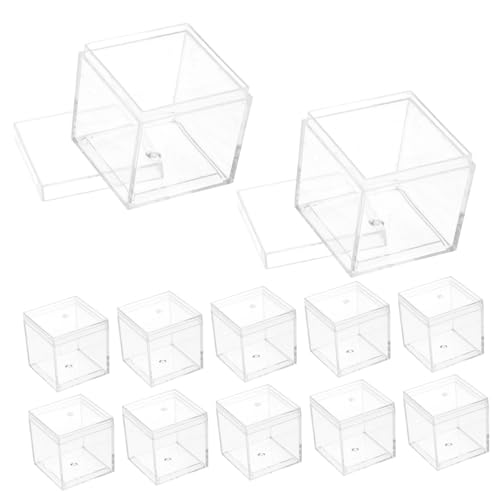 Anneome 12 Teilige Box Transparente Kunststoffbox Vitrine Quadratische Vitrine Mineralvitrine Probenbehälter Probenaufbewahrungskoffer Probenkoffer von Anneome