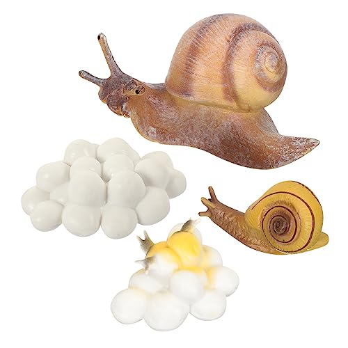 Anneome Lernspielzeug Schneckenmodell Set aus Hochwertigem Realistische Schneckenfiguren für Frühe Bildung Fördert Naturverständnis und Wachstumskreislauf Teiliges Set Zufälliger Stil Anneome Lernspielzeug Schneckenmodell Set aus Hochwertigem Realistische Schneckenfiguren für Frühe Bildung Fördert Naturverständnis und Wachstumskreislauf Teiliges Set Zufälliger Stil von Anneome