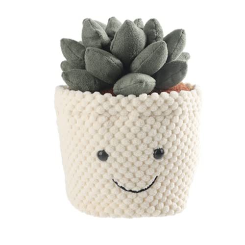 Apricot Lamb Plüsch Pflanze Plüschtier Pflanze Sukkulenten Echeveria Puppen Sukkulenten Spielzeug 20cm Puppen Spielzeug für Kinder und Baby-weich & waschbar von Apricot Lamb