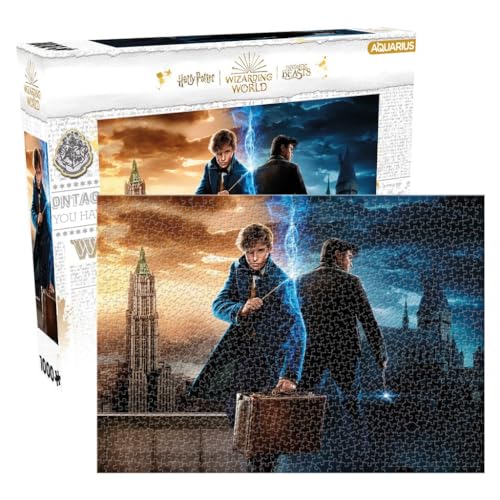 Aquarius 65455 Harry Potter Zauberwelt 1000 Teile Puzzle, Mehrfarbig von AQUARIUS