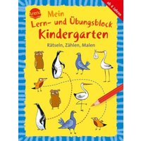 Mein Lern- und Übungsblock Kindergarten. Rätseln, Zählen, Malen von Arena