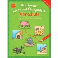 Mein bunter Lern- und Übungsblock Vorschule. Logisch denken und verbinden von Arena