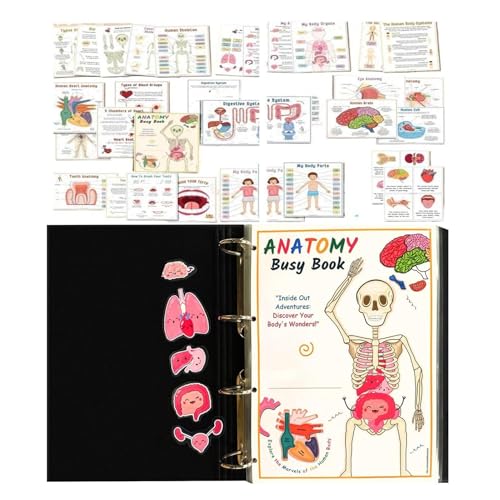 Lernbuch für menschliche Anatomie, 29,7 x 21 cm, Lernbuch für menschliche Anatomie, Buch für menschliche Anatomie, interaktives Buch für 4–9 Kinder, pädagogisches Reisen von Arrovarp