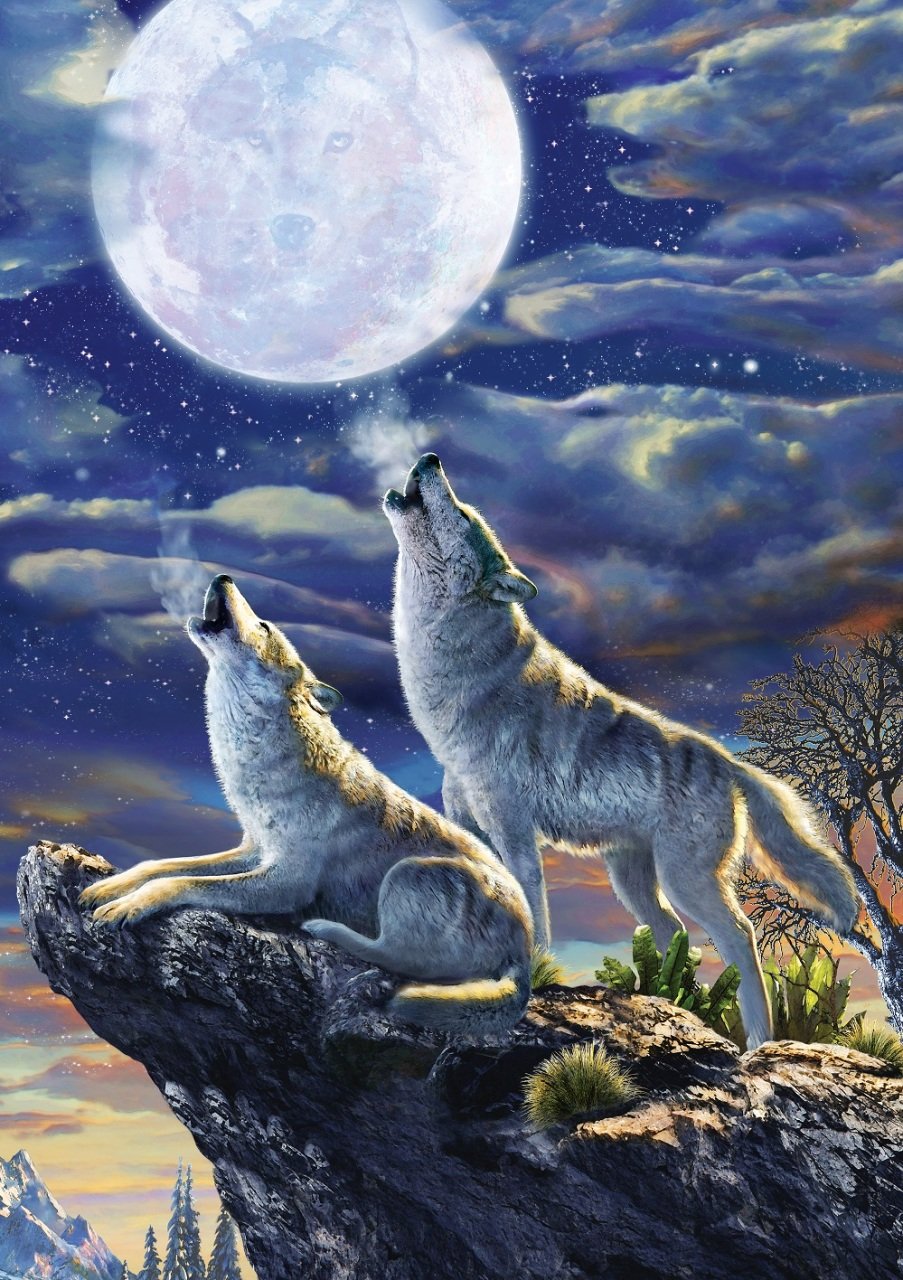 Art Puzzle Full Moon Wolves 1000 Teile Puzzle Art-Puzzle-5217 von Art Puzzle