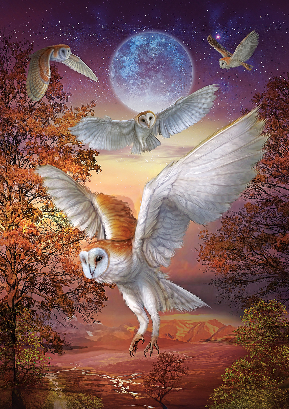 Art Puzzle Moonlight Owls 1000 Teile Puzzle Art-Puzzle-5273 von Art Puzzle