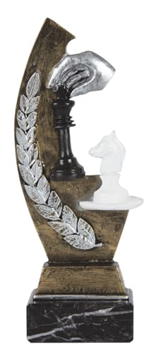 Art-Trophies AT15803 Sport-Trophäe, Erwachsene, Unisex, Mehrfarbig, 21 cm von Art-Trophies