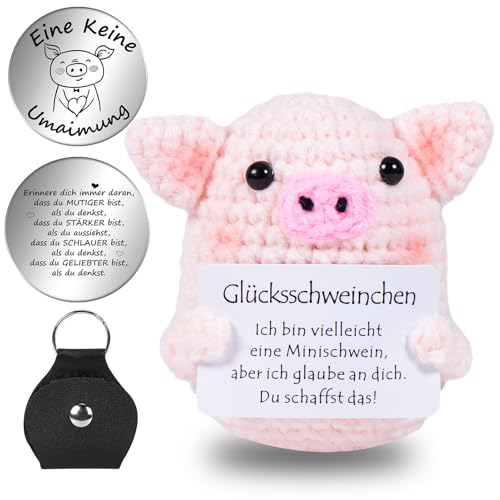 Aruigu Pocket Hug Glücksschweinchen, Kreative Strickwolle Minischwein Puppe und Kleine Umarmung Glücksbringer (Silber), Einschulung Geschenk, Gute Besserung Geschenk, Mutmacher Geschenk von Aruigu