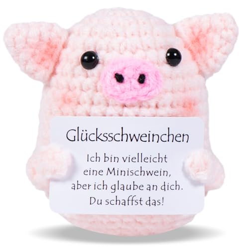 Aruigu Pocket Hug Glücksschweinchen, Positive Kartoffel - Ersatz, Kreative Strickwolle Minischwein Puppe, Mutmacher Geschenk, Gute Besserung Geschenk, Einschulung Geschenk von Aruigu