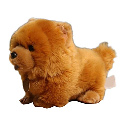 Asotagi 25,4 cm Nette Chow Hund Plüsch Spielzeug Weiche Stofftier Flauschige Puppe Werfen Kissen Sofa Couch Schlafzimmer Dekor von Asotagi