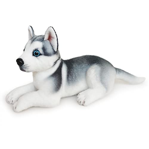 Asudaro 25cm Liegende Husky Siberian Tiere Husky Hund Kuscheltier Stofftiere Hund Husky Akita Hund Lebensecht Braun Grau Plüsch Puppe Plüschhusky Plüschtier Spielzeug für Kinder Jungen Mädchen #A von Asudaro