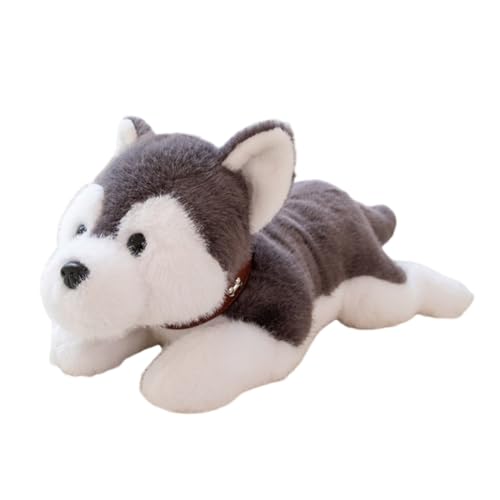 Asudaro Flauschiges Plüschtier,Husky-Kissen,Kuscheltier Superweich mit großen Glitzeraugen,Plüschkissen Tier Spielzeug,Stofftier,für Kinder Mädchen Jungen,60cm Husky-Kissen(grau) von Asudaro