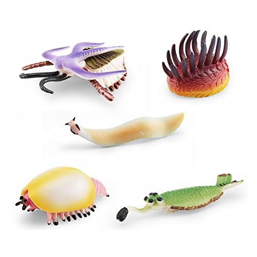 Asudaro Meerestier Spielzeug Set, Realistische Meerestierfiguren Ozean-Spielzeug-Spielsets Tierfigur Garnele Schnecke Megalopithecus Krebse Badespielzeug Tiermodell Kinderspielzeug Lernspielzeug 5pcs von Asudaro