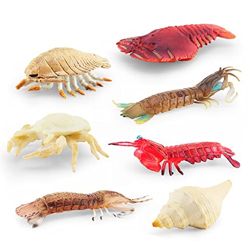 Asudaro Meerestier Spielzeug Set, Realistische Meerestierfiguren Ozean-Spielzeug-Spielsets Tierfigur Garnele Schnecke Megalopithecus Krebse Badespielzeug Tiermodell Kinderspielzeug Lernspielzeug 7Pcs von Asudaro