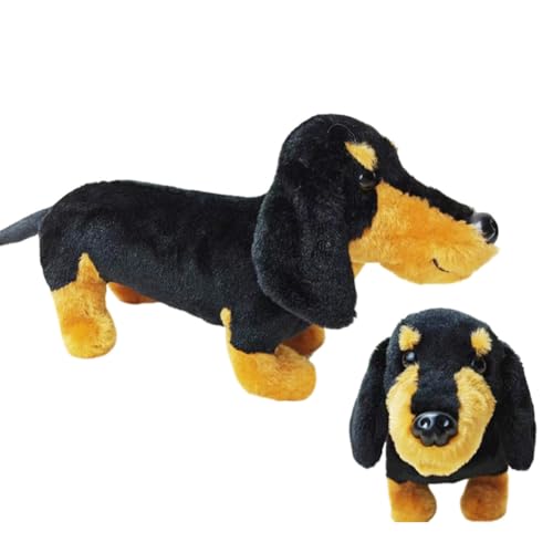 Asudaro Stofftier Dackel, 25x15cm/40x20cm Dackel Plüschhund Kuscheltier Rauhaardackel sitzend Hund Plüschtier Plüsch Spielzeug weich für Kinder interaktives Spiel Zuhause Kinderzimmerdekoration von Asudaro