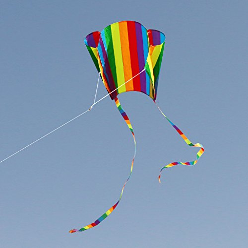 Asukohu Interaktives Langes Fliesen Regenbogen Parafoil Fliegendrachen Für Kinder Pädagogisch Zum Spielen Für Kreatives Outdoor Spielzeug Outd von Asukohu