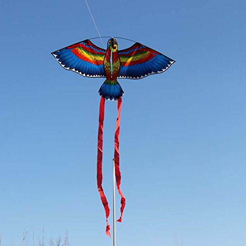 Asukohu Lustiger Vogeldrachen Für Kinder Pädagogisches Flugspielzeug Für 6–8 Jahre Alte Kinder Gehirntraining Verbesserung Der Intelligenz von Asukohu