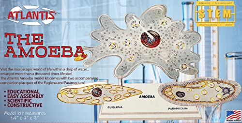 Atlantis Plastic Model Kit-The Amazing Amoeba STEM von Atlantis