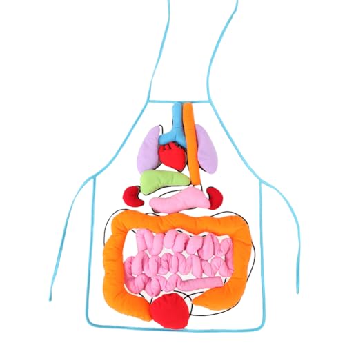 3D Organ Schürze, 3D-Orgelschürze, Plüsch-DIY-Organ-Schürze für Schüler, menschliche Körperorgane, Bewusstseinsviszera für Lehrer, Lehrutensilien für Zuhause, Vorschule, Lehrhilfe von Aublinto