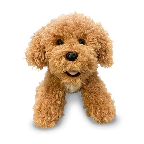 Aurora Puppy Stuffed Animal Plush, Dog, Golden Brown, Doodle, 10 inch von Aurora