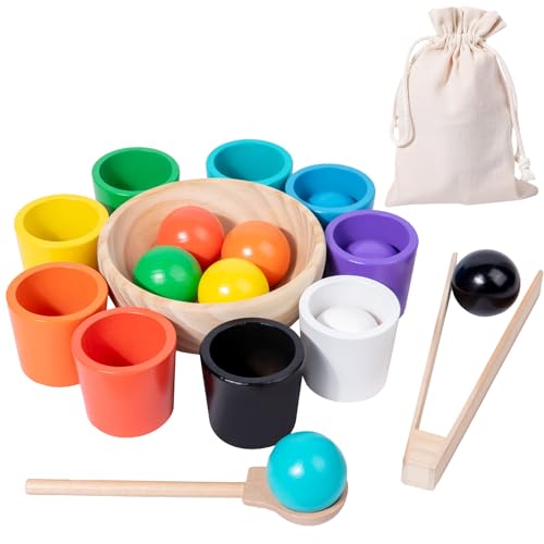 Auvewilo Balls in Cups Color Sorting Montessori Toy, Matching Game for Kids von Auvewilo