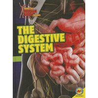 The Digestive System von Av2