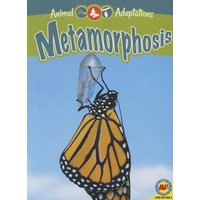Metamorphosis von Av2