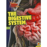 The Digestive System von Av2