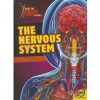 The Nervous System von Av2