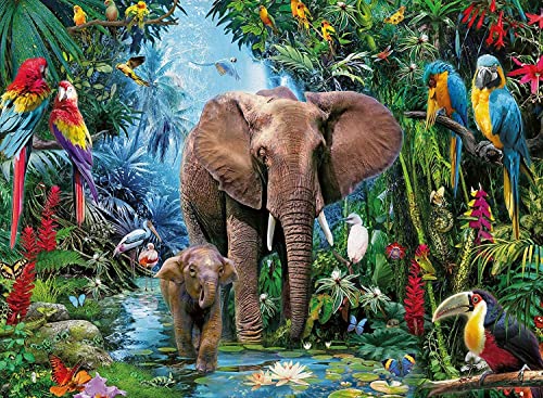 Puzzle 1000 Teile Erwachsene Elefant Papagei & Regenwald 70 x 50 cm Puzzles für Erwachsene Lernspiel Herausforderungsspielzeug 1000-teilige Puzzles für Erwachsene Kinder von AveJoys