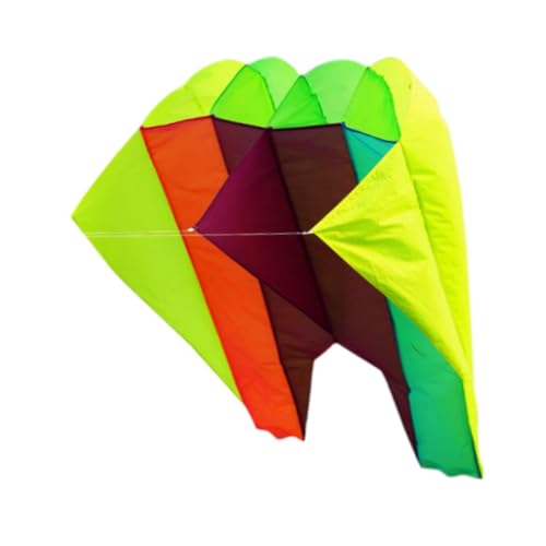 Aymzbd 3D Fly Kite Tragbarer Outdoor Sport Soft Pilot Kite für Yard Garden Travel von Aymzbd