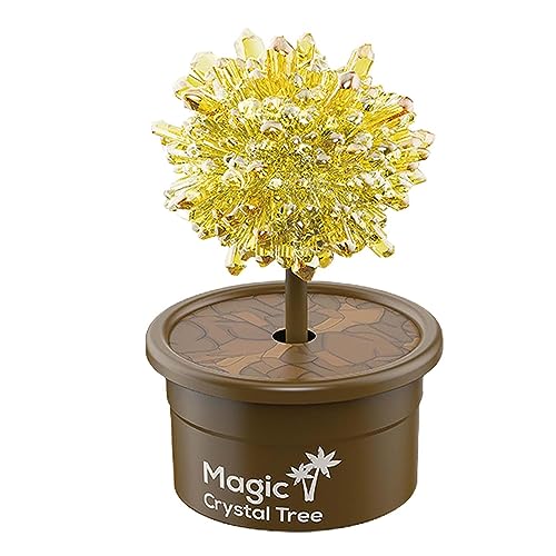 Aymzbd Kristall Wissenschaftsexperimente, Spielzeug Wissenschafts Sets, Kinderspielzeug, Lernspielzeug, Wachsende Kristalle, Wissenschafts Sets für Jungen, K, GELB Aymzbd Kristall Wissenschaftsexperimente, Spielzeug Wissenschafts Sets, Kinderspielzeug, Lernspielzeug, Wachsende Kristalle, Wissenschafts Sets für Jungen, K, GELB von Aymzbd