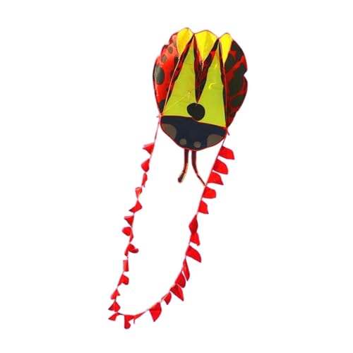 Aymzbd Lady Bird Kite Sport Kite tragbares Flugspielzeug im Freien Spielzeug für Beach Park Hinterhof Spielplatz Geburtstag Geschenk Kinder, Rot von Aymzbd